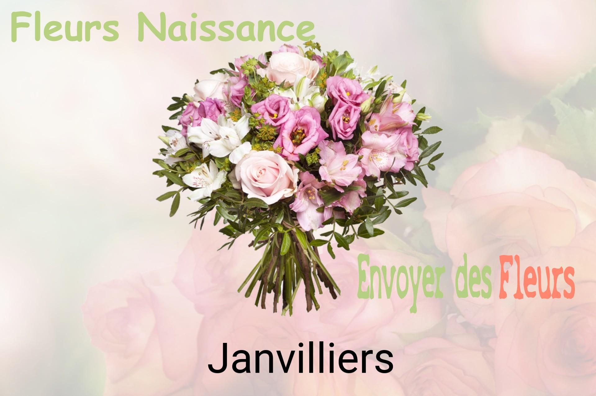 Bouquet de fleurs de naissance livré à Janvilliers